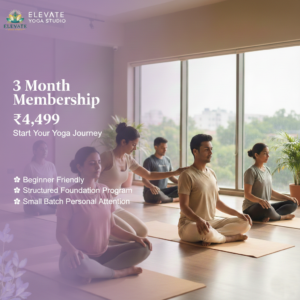3 months membership offer
