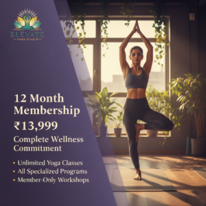 12 months membership offer banner